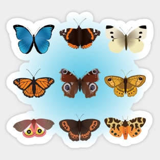 A collection of nine butterflies Sticker